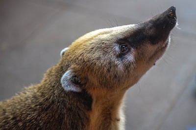 Boosting Sporting Goods Store Reputation in Singapore with PR Companies