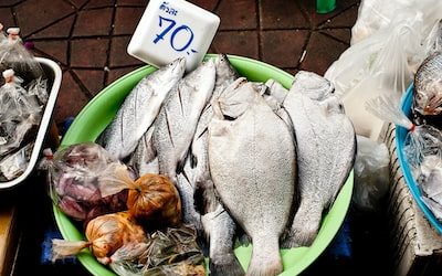 Conquering the Fishmongers Industry: Mastering PR Strategies to Reach Affluent Customers
