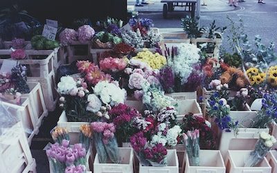 Elevate Floral Shop’s Social Media with Singapore’s Top PR Firm