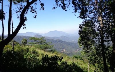 Singapore’s Great Sale for Beauty Stores: PR Strategies to Attract Tourists