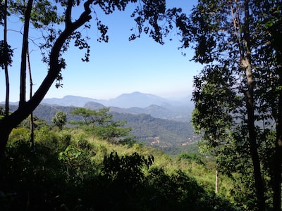 Singapore’s Great Sale for Beauty Stores: PR Strategies to Attract Tourists