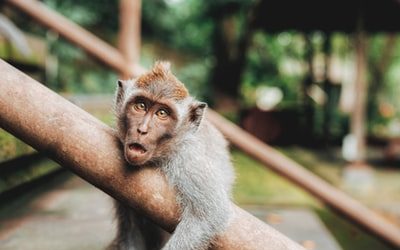 Singapore’s PR Agency Modernizes Convenience Stores with Memes and Internet Culture