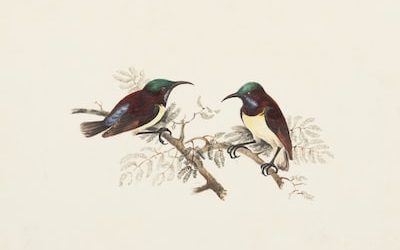 Social Media Gurus Reveal PR Strategies for Specialty Food Stores