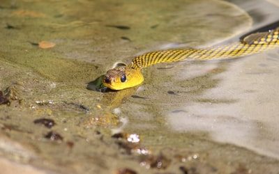 Boost Your TV and Radio Business with Singapore’s Premier PR Agencies