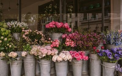 Boosting Luxury Floral Shops with Facebook and Instagram