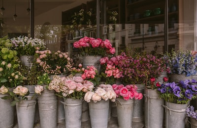 Boosting Luxury Floral Shops with Facebook and Instagram
