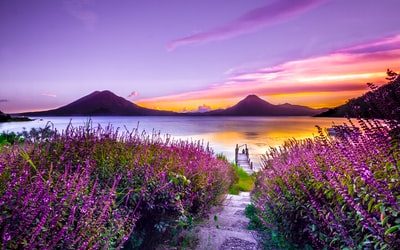 Chingay Parade Transforming PR Landscape: 5 Nearby Firms Share Impact.