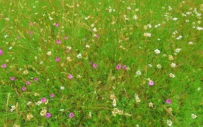 Effective media training strategies for Singapore’s bakery PR agencies revealed