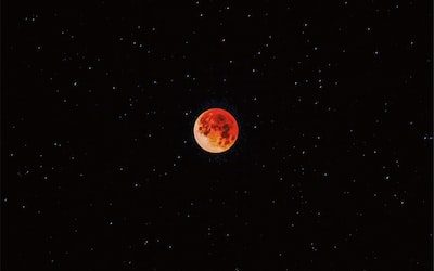 Leveraging Pop Culture for Boosting PR in Art Industry.