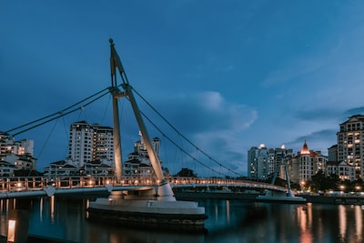 Lunar New Year PR and Google Ads Boost Singapore Stores