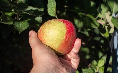 Mastering the Melodies: Tuning into the Harmonious Symphony of PR Best Practices in Bukit Batoks Online Retail Rockstars