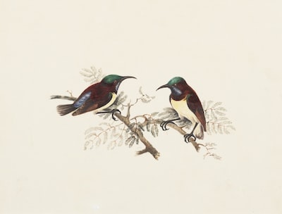 Revolutionizing PR: Gen Z Engagement Strategies for Singapore’s Auto Stores