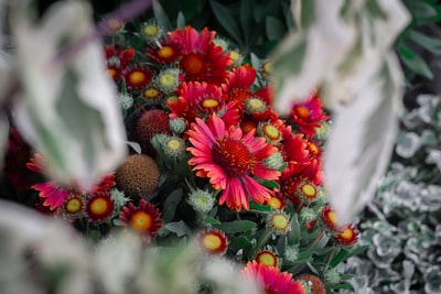 Singapore Floral Shops Flourish with Brilliant PR Strategies