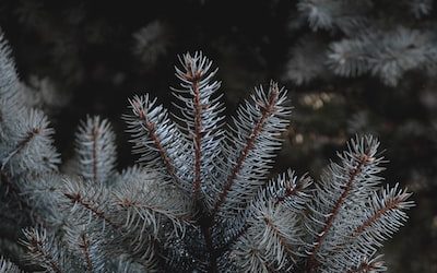 Singapore’s PR firm helping vending operators amidst negative press.