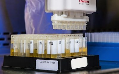 Social Media Masters’ Bold Memes Revolutionize Sporting Goods PR