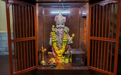 Thaipusam Festival Boosts Sales in Singapore’s Health Food Stores