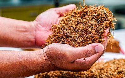 The Ultimate Game-Changers: Unleashing PR Powerhouses for Tobacco Stores in Singapore