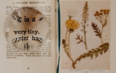 Unforgettable Deepavali Celebrations: PR Tips for Healthy Stores in Singapore.