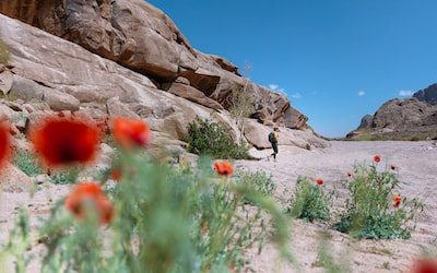 5 Game-Changing PR Techniques Every Bishan Retail Store in the Energy Industry Should Use