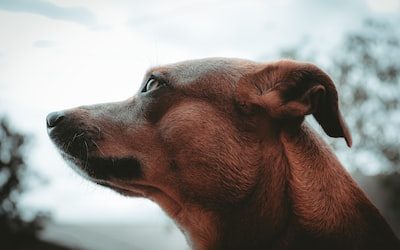 Cost-effective PR vs. Social Media Ads for Singapore Video Rental Startups