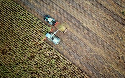 Revolutionizing the Farming Landscape: Tanglins Unbelievable PR Tactics for Temporary Agricultural Retail Offers!